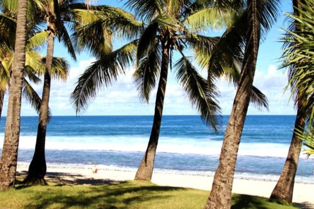 Maison De Vacances, Decouvrir Le Sud De La Reunion Petite Île Exteriér fotografie